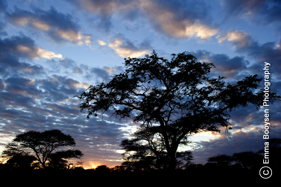 Mokala Sunset Emma Booysen