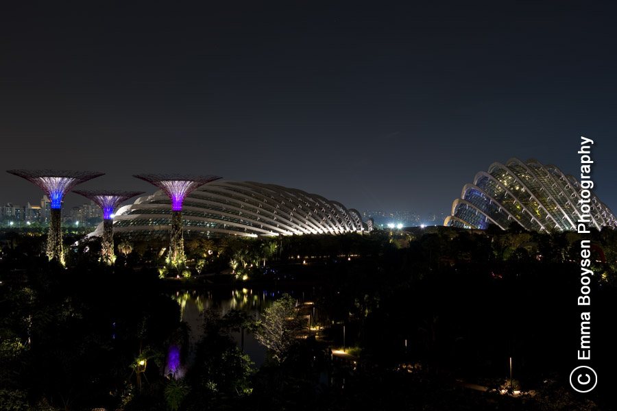 Gardens by the Bay - Photo a day Emma Boosyen