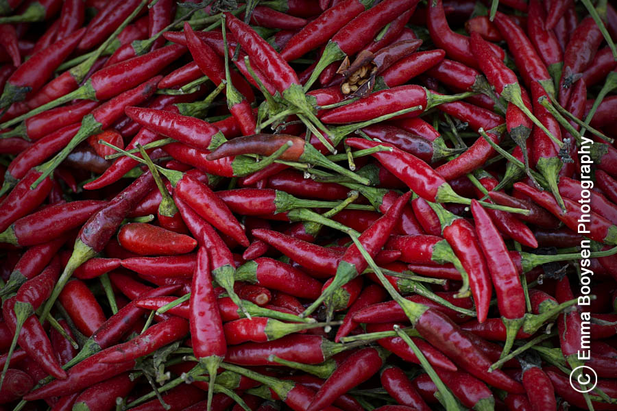 Chillies Emma Booysen Photography