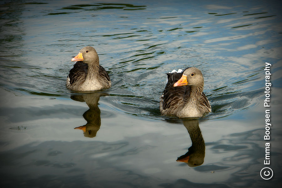 Emma Booysen Photography